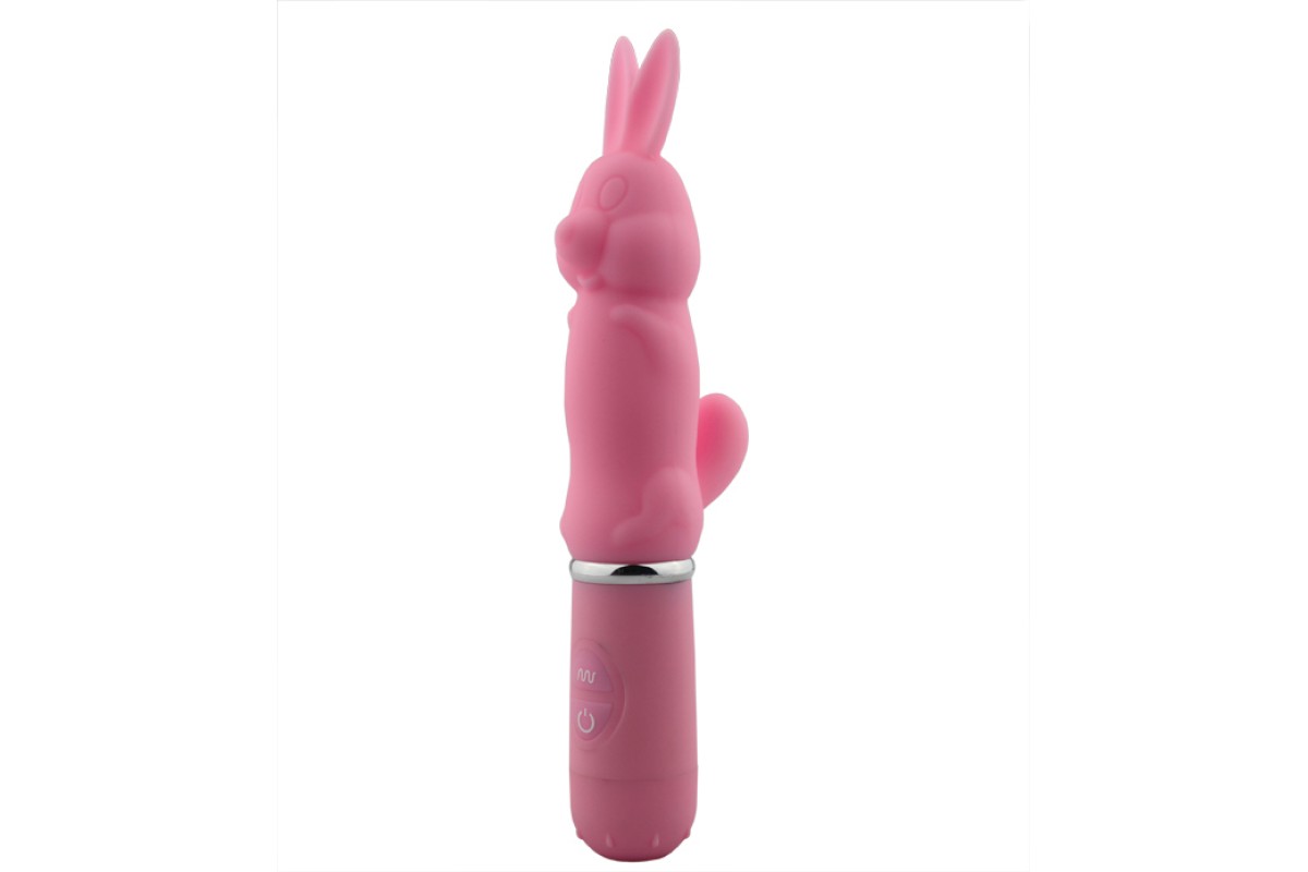 Rabbit vibrator ass