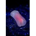 Мастурбатор реалистичный девственница Magic Eyes Sujiman Kupa Lolinco CRYSTAL HARD TPE Прозрачны - фото 3