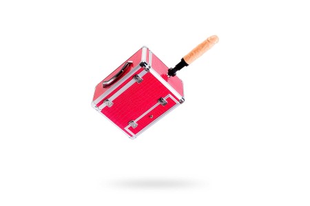 Секс-чемодан Diva Wiggler с двумя насадками металл розовый 28 см