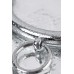 Ошейник металлический с кольцом маленький TOYFA Metal серебряный - фото 1