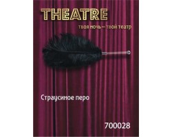 Перо TOYFA Theatre страусиное черное,40 см