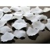 Белые лепестки роз - фото 2