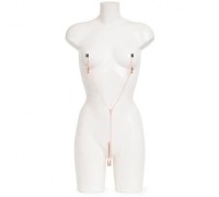 Зажимы на соски и половые губы Fifty Shades of Grey Collection