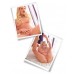 Двусторонний мастурбатор Extreme Toyz - Flip Me Over - фото 2