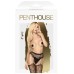 Эротические чулки с поясом Penthouse Special Extra S/L - фото 2