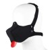 Текстильная черная маска собаки Hot Time - фото