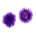 Фиолетовые пушистые пэстисы - фото 1
