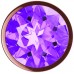 Анальная пробка Diamond Amethyst Shine S розовое золото - фото 2