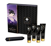 Эротический набор Shunga Naughty Geisha Шаловливая Гейша