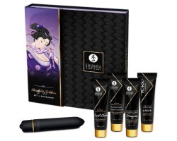 Эротический набор Shunga Naughty Geisha Шаловливая Гейша