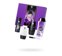 Подарочный набор Shunga Naughter Kit
