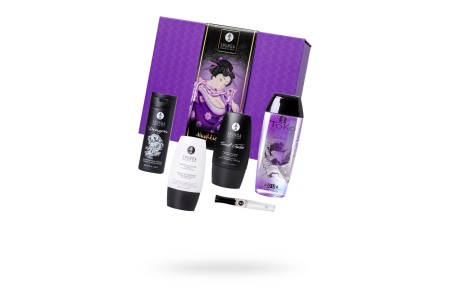 Подарочный набор Shunga Naughter Kit