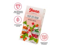 Набор гелей-смазок Yovee для любви (721009+721013), вкусовые (малина/мята+карамель), 2х100 мл