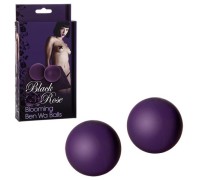 Силиконовые вагинальные шарики фиолетовые Black Rose